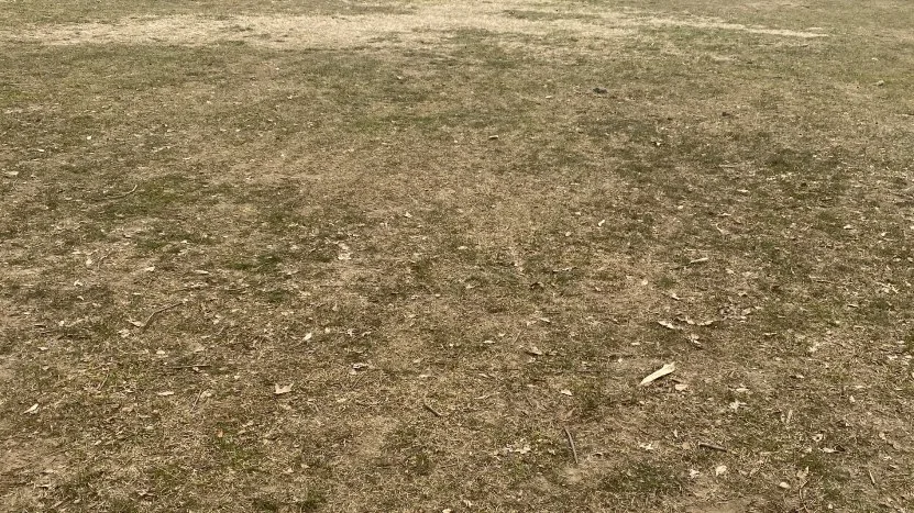 Flint Park Conservancy, project overview