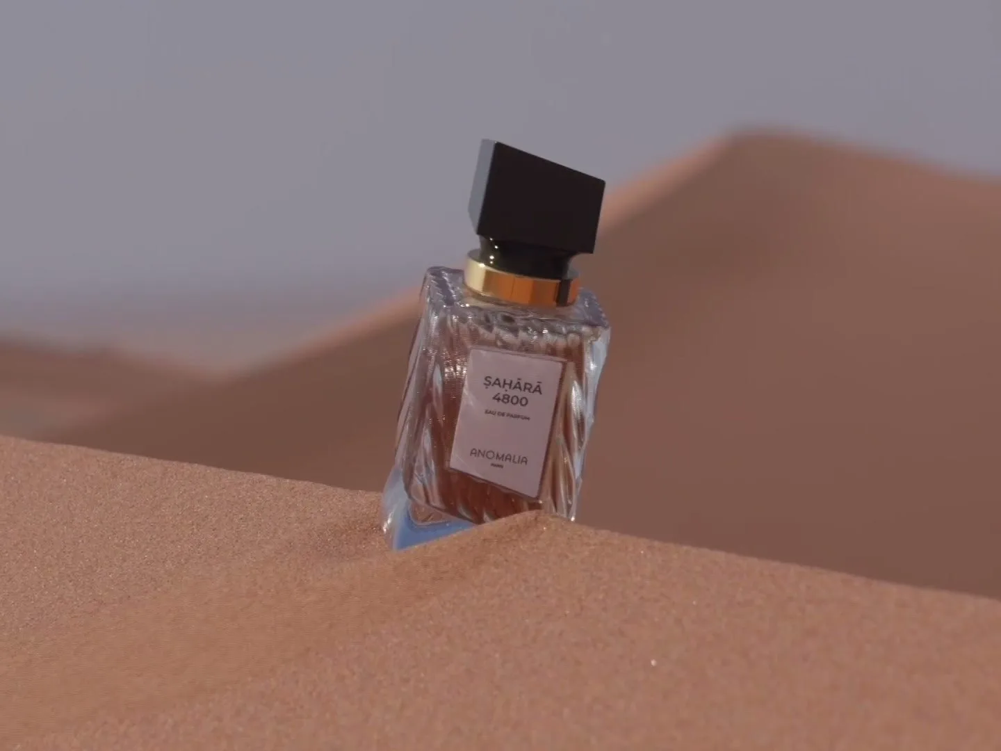 Sahara 4800 on the dune, from the house’s photography