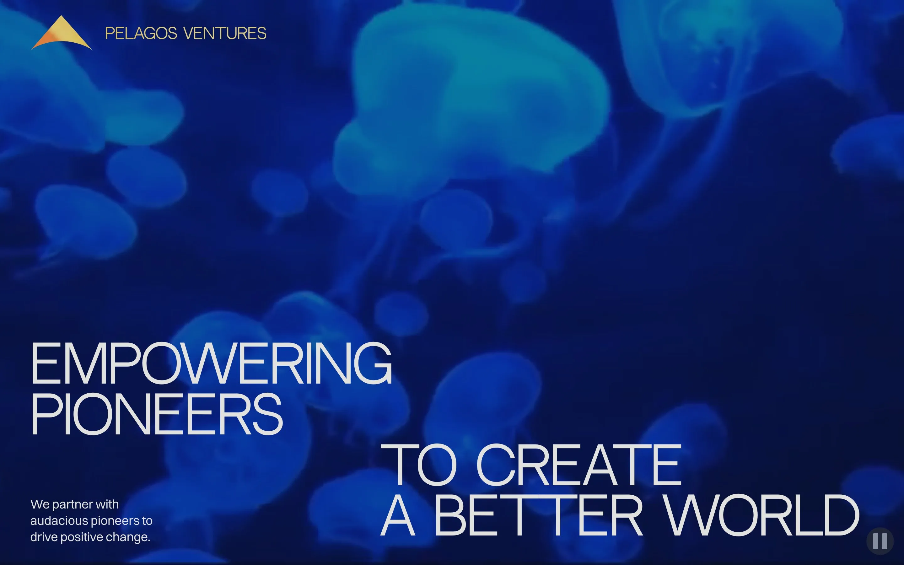 Pelagos Ventures website: Home